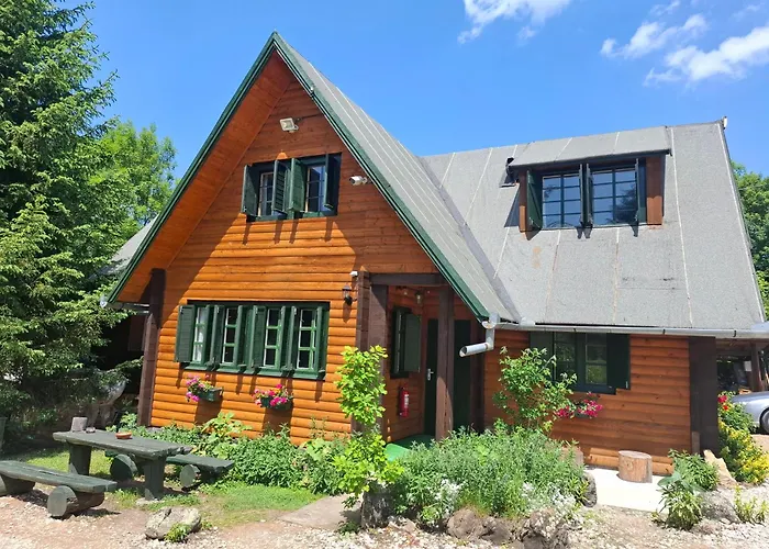 Casa Edelweiss - Gyopár - Flore de colt