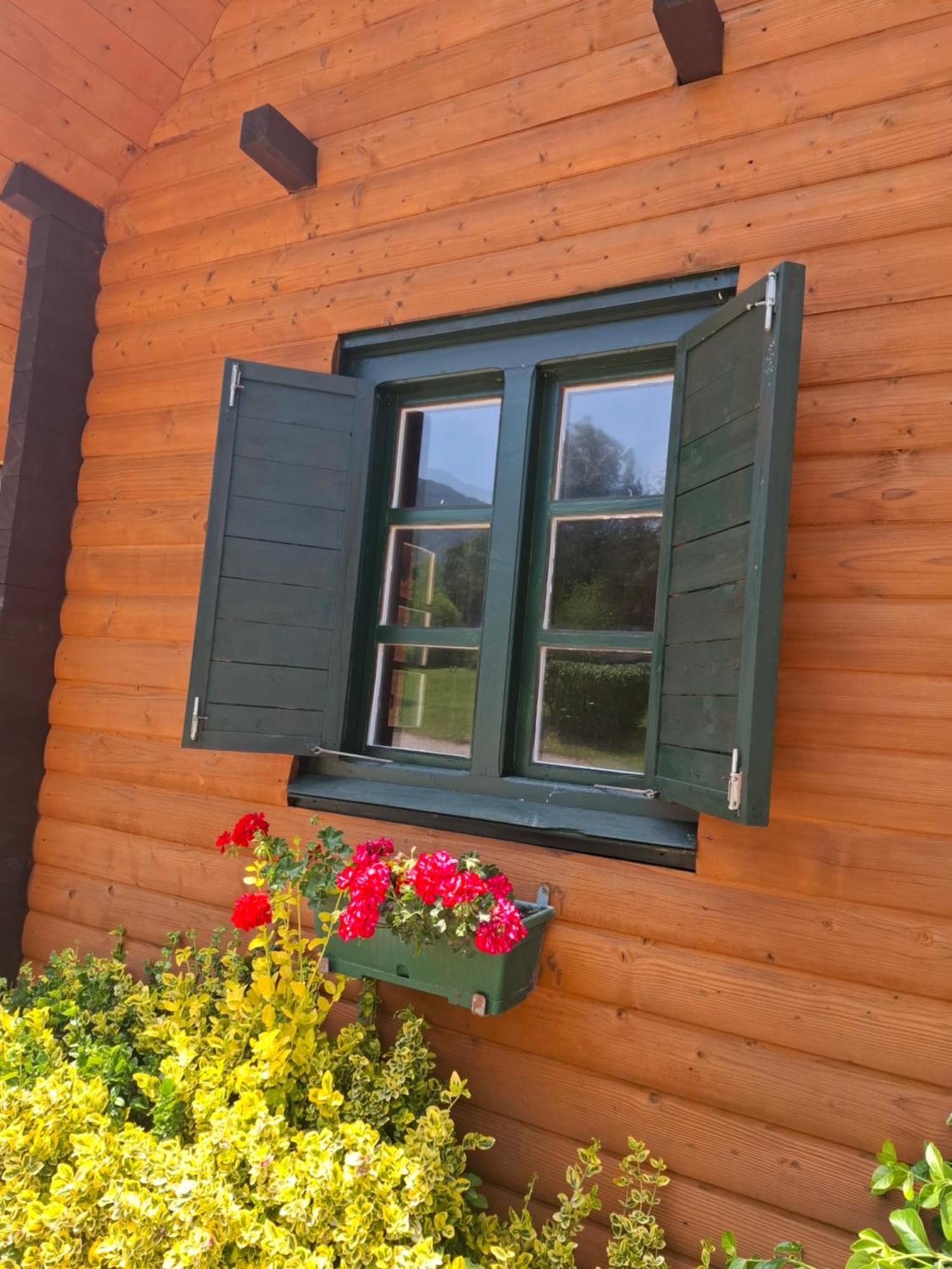 Casa Edelweiss - Gyopár - Flore De Colt Rimetea